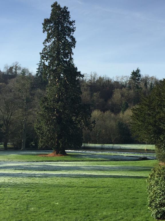 Le Manoir de Bénédicte B&B Cahan Esterno foto