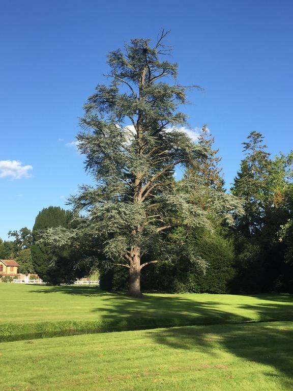 Le Manoir de Bénédicte B&B Cahan Esterno foto